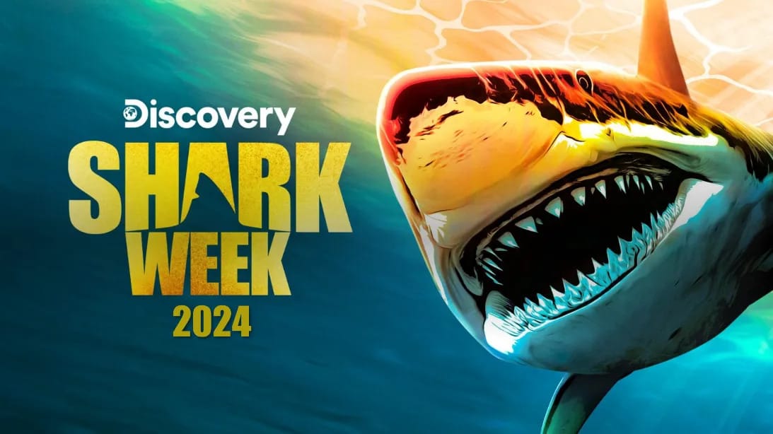Shark Week 2024 Delivers